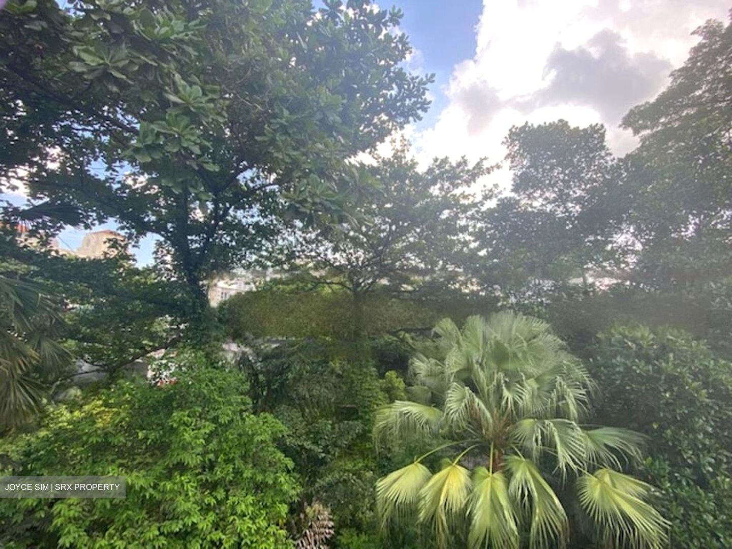 Thomson Road (D11), Detached #457624521
